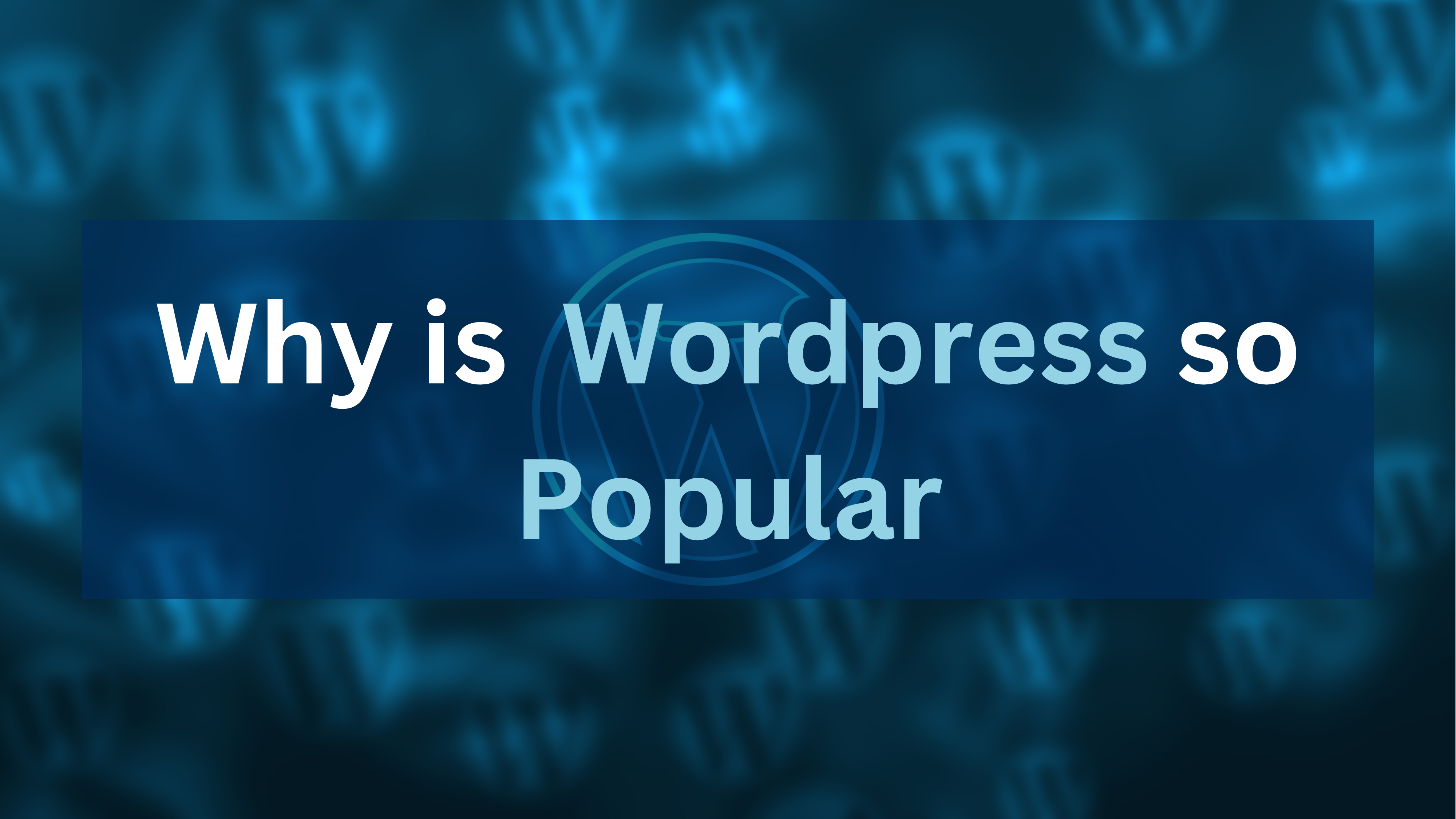 Why is WordPress so Popular?